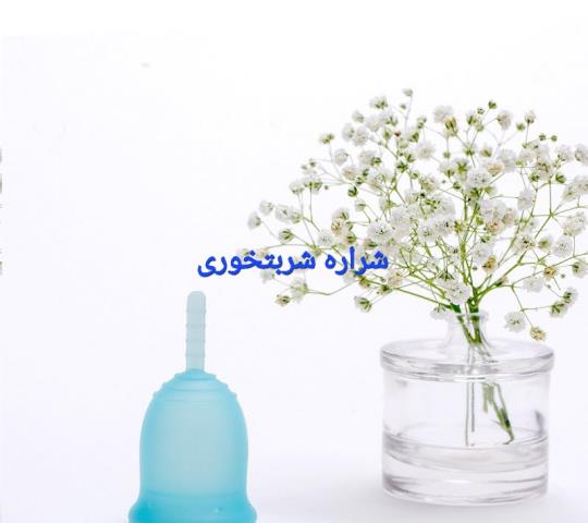 کاپ قاعدگی دکتر شراره شربت خوری