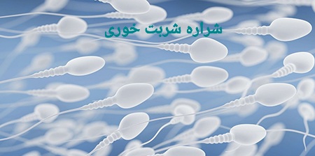 اثر رژیم غذایی بر اسپرم