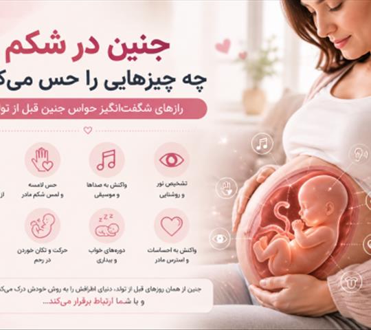 جنین در شکم چه چیزهایی را حس می‌کند؟