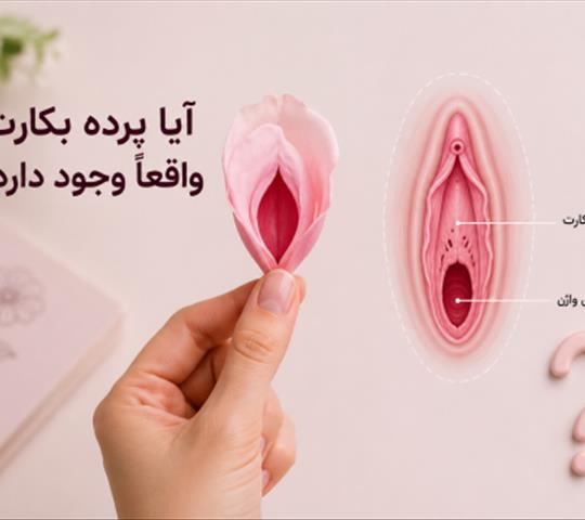 آیا پرده بکارت واقعاً وجود دارد؟ انواع پرده بکارت و باورهای اشتباه