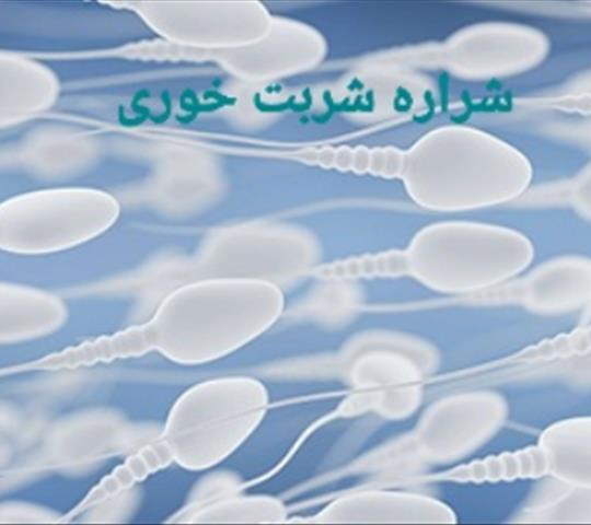 اثر رژیم غذایی بر اسپرم