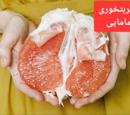 درمان عفونت قارچی واژن در بارداری چیست؟ +۱۲ روش پیشگیری