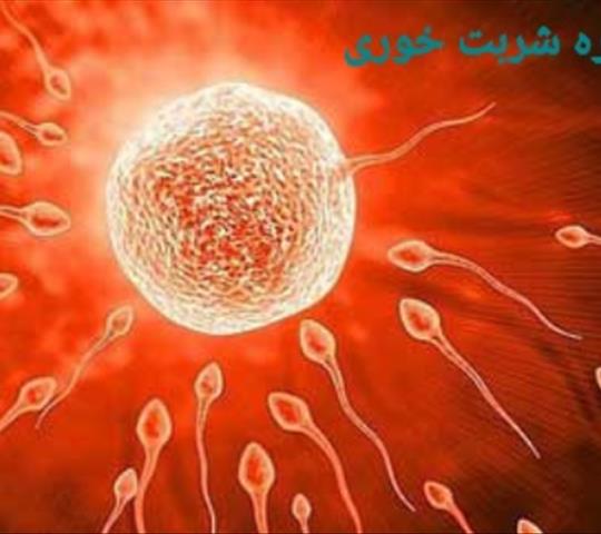 تقویت تخمک